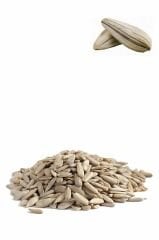Çekirdek İçi, Çiğdem İçi 1 Kg
